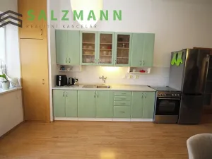 Pronájem bytu 2+kk, Plzeň, Rokycanská, 65 m2