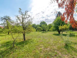 Prodej pozemku pro bydlení, Bařice-Velké Těšany, 1548 m2