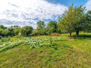 Prodej pozemku pro bydlení, Bařice-Velké Těšany, 1548 m2