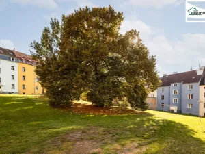 Prodej bytu 3+1, Cheb, Nová, 60 m2