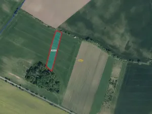 Prodej pole, Dašice, 5921 m2