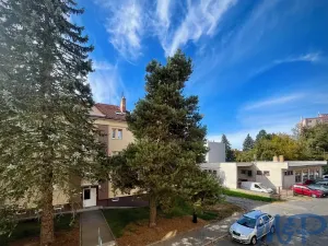 Prodej bytu 2+1, Jihlava, Riegrova, 55 m2