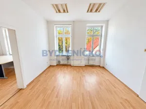 Pronájem kanceláře, České Budějovice, Hradební, 40 m2