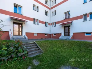 Pronájem bytu 2+1, České Budějovice - České Budějovice 6, Polní, 61 m2