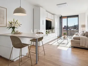 Prodej bytu 1+kk, Praha - Smíchov, Holečkova, 30 m2