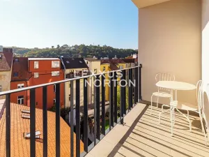 Prodej bytu 1+kk, Praha - Smíchov, Holečkova, 30 m2