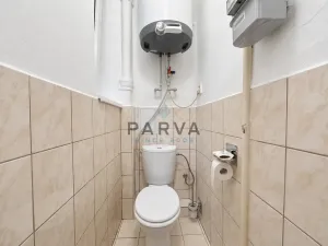 Pronájem bytu 1+kk, Plzeň - Severní Předměstí, Lipová, 26 m2