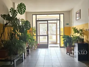 Pronájem bytu 2+kk, Písek, Zátavské nábř., 46 m2