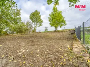 Prodej rodinného domu, Spálené Poříčí, Havlíčkova, 60 m2