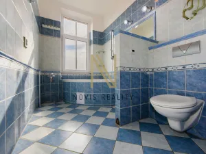 Pronájem bytu 1+1, Plzeň, Plzenecká, 42 m2