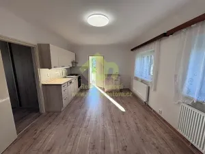 Pronájem rodinného domu, Rokycany, Stará cesta, 41 m2