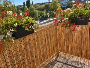 Pronájem bytu 2+kk, Plzeň, Květná, 55 m2