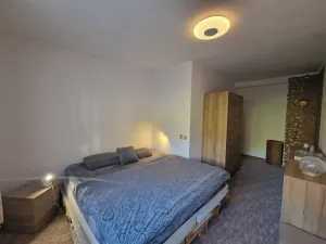Prodej rodinného domu, Studenec, 219 m2