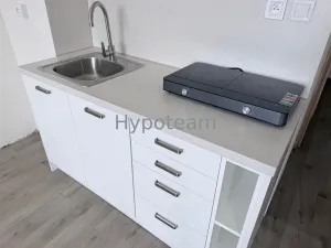 Prodej bytu 1+1, Ústí nad Labem - Neštěmice, Sibiřská, 42 m2