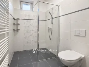 Pronájem bytu 1+1, Znojmo, Jubilejní park, 33 m2