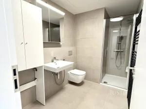 Pronájem bytu 1+kk, Praha - Žižkov, Budovcova, 35 m2