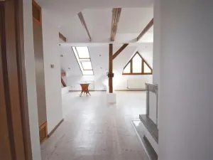Prodej atypického bytu, Plzeň - Severní Předměstí, Křížkova, 68 m2