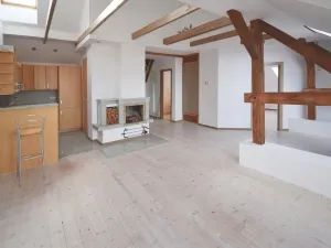 Prodej atypického bytu, Plzeň - Severní Předměstí, Křížkova, 68 m2
