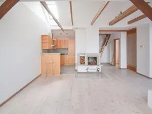 Prodej atypického bytu, Plzeň - Severní Předměstí, Křížkova, 68 m2