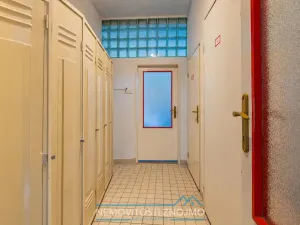 Prodej obchodního prostoru, Březí, Dunajovická, 630 m2