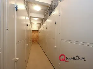 Pronájem bytu 2+kk, Praha - Žižkov, Lucemburská, 50 m2