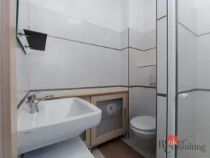 Prodej bytu 1+1, Ústí nad Labem - Ústí nad Labem-centrum, Koněvova, 48 m2