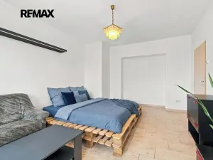 Prodej bytu 1+1, Plzeň, Revoluční, 40 m2