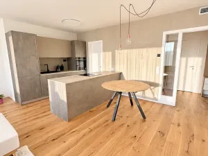 Pronájem bytu 4+kk, Praha - Radlice, U Komína, 119 m2