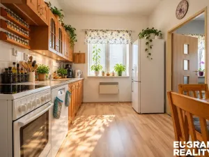 Prodej vícegeneračního domu, Děčín, U Školy, 397 m2