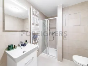Pronájem bytu 1+kk, Brno, Spolková, 28 m2