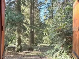Prodej chaty, Borová, 53 m2