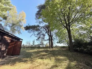 Prodej chaty, Borová, 53 m2