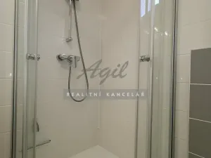 Pronájem bytu 1+kk, Šlapanice, 38 m2