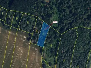Dražba lesa, Přemyslovice, 1280 m2