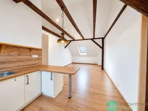 Pronájem bytu 1+kk, Hrob, Rybniční, 47 m2