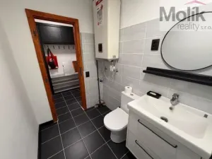 Pronájem bytu 2+1, Litvínov - Hamr, Hamerská, 54 m2