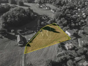 Prodej pozemku pro bydlení, Stříbrná Skalice, 4259 m2