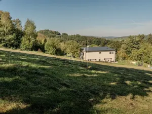 Prodej pozemku pro bydlení, Stříbrná Skalice, 4259 m2
