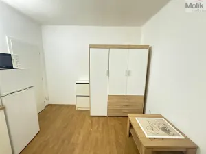 Pronájem bytu 1+kk, Most, Slovenského národního povstání, 22 m2