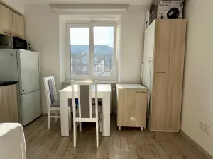 Pronájem bytu 1+1, Ostrava - Zábřeh, Čujkovova, 28 m2