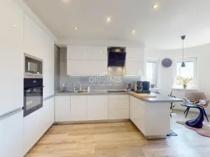 Prodej vícegeneračního domu, Chomutov, Čelakovského, 300 m2
