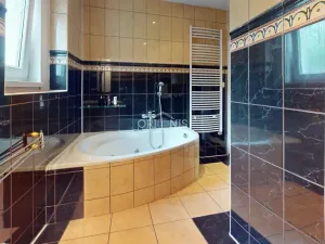 Prodej vícegeneračního domu, Chomutov, Čelakovského, 300 m2