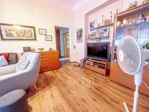 Prodej vícegeneračního domu, Teplice, Doubravská, 430 m2