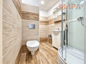 Pronájem bytu 1+1, Chomutov, Kostnická, 35 m2
