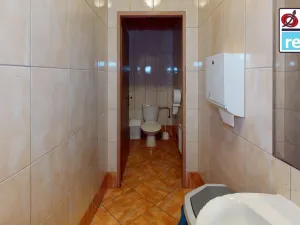 Pronájem obchodního prostoru, Plzeň, Americká, 140 m2