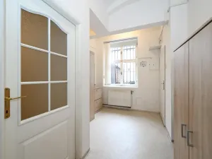 Pronájem bytu 2+kk, Praha - Žižkov, Milíčova, 50 m2