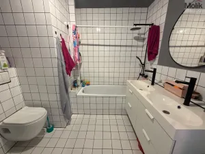 Pronájem bytu 3+1, Most, Růžová, 1111 m2