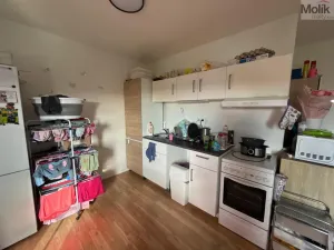 Pronájem bytu 3+1, Most, Růžová, 1111 m2