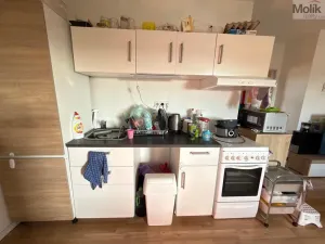 Pronájem bytu 3+1, Most, Růžová, 1111 m2