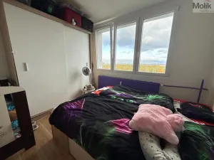 Pronájem bytu 3+1, Most, Růžová, 1111 m2
